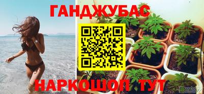 apvp Канаш