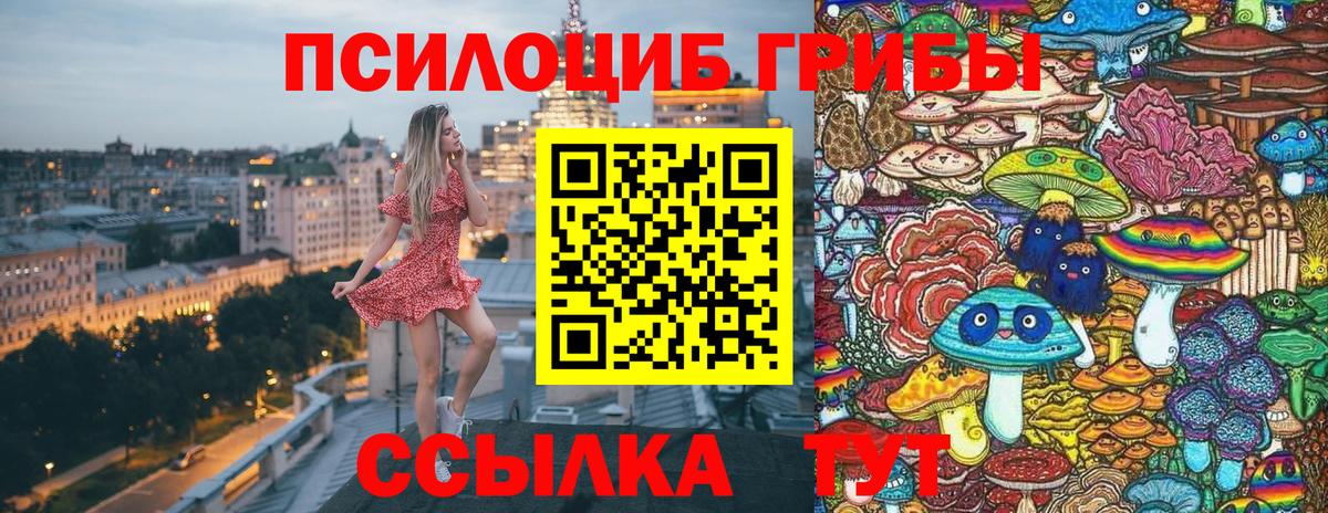 Галлюциногенные грибы Psilocybine cubensis Подольск